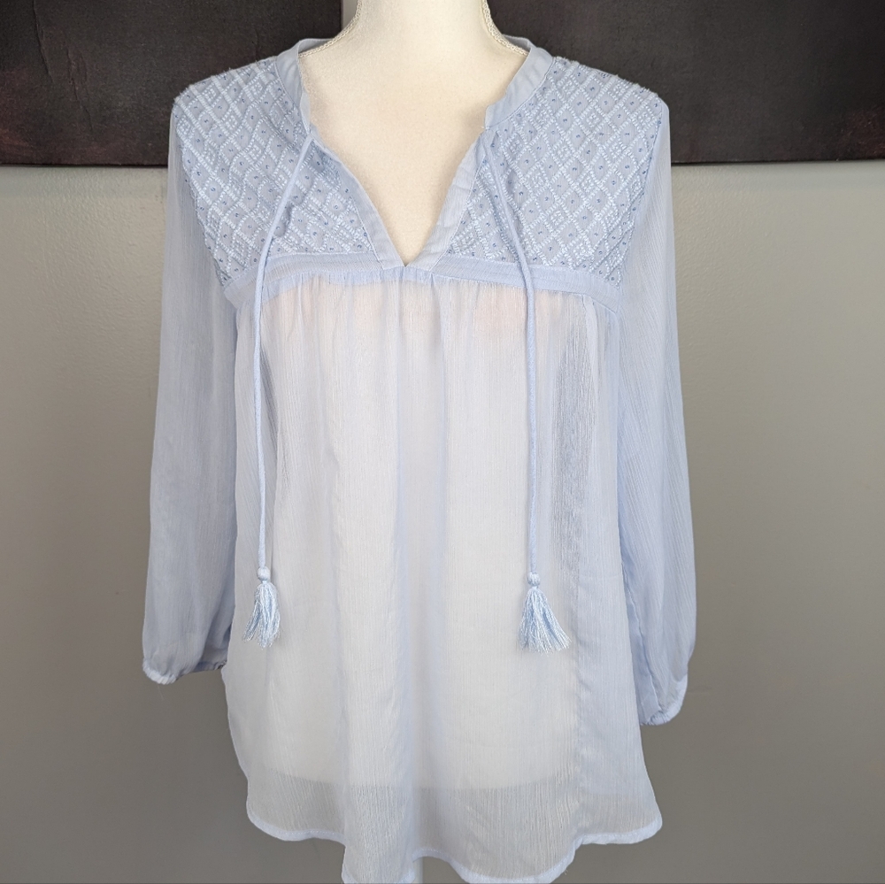 Light blue sheer embroidered top